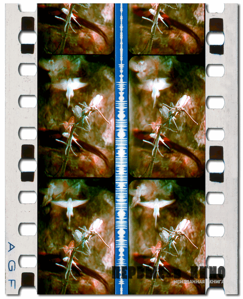 Птичий сад. © Николай Майоров, 2010. Реконструкция цветной стереопары на 35мм киноплёнке из шестого фрагмента стереофильма «Концерт» (1940)