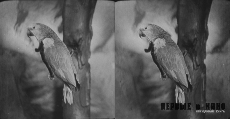 Стереопара из фильма «Робинзон Крузо» (1947)