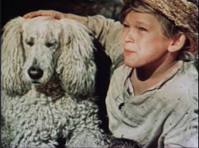 кадр, «Белый пудель» 1955