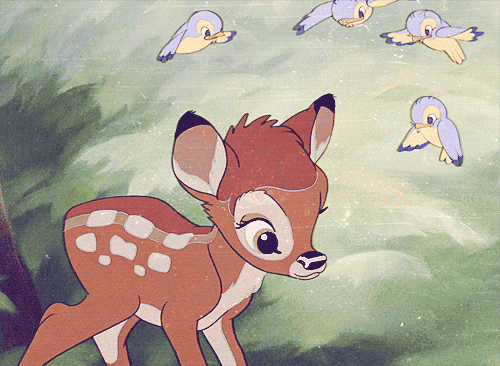 Bambi (Бэмби) 