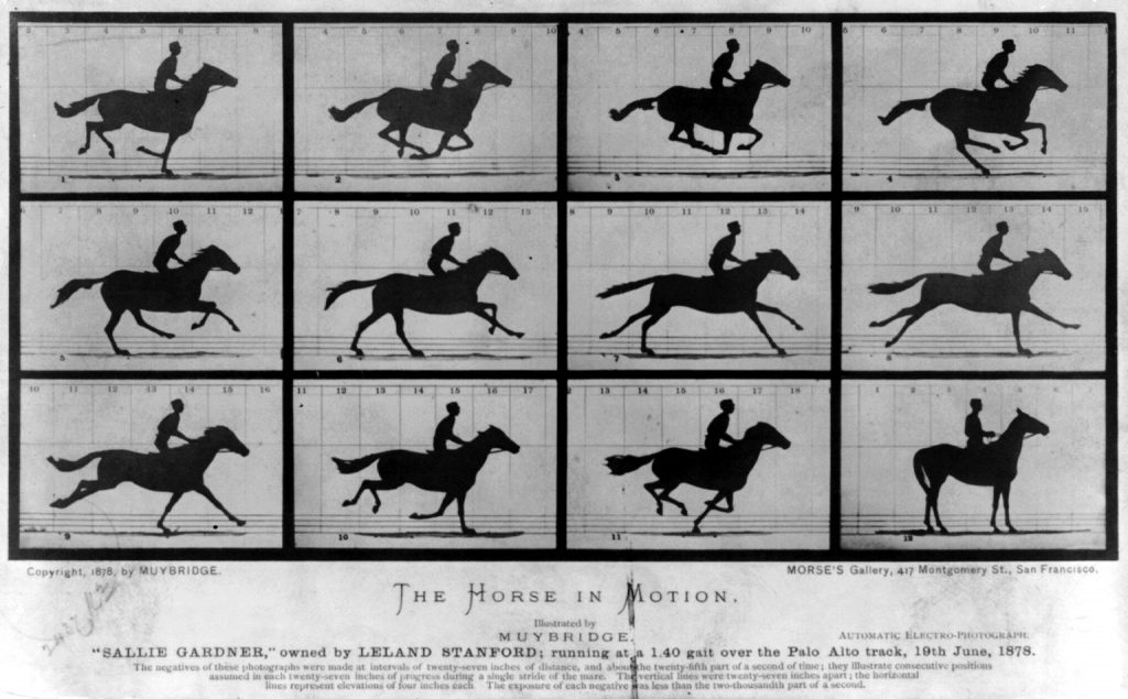 Фотосерия движения лошади Мэйбриджа (1878)
