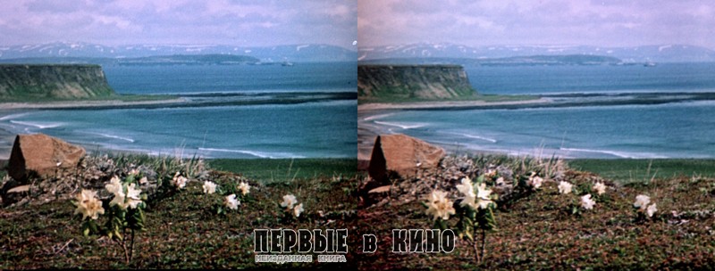Кадр из стереофильма "Когда оживают острова" (1982)