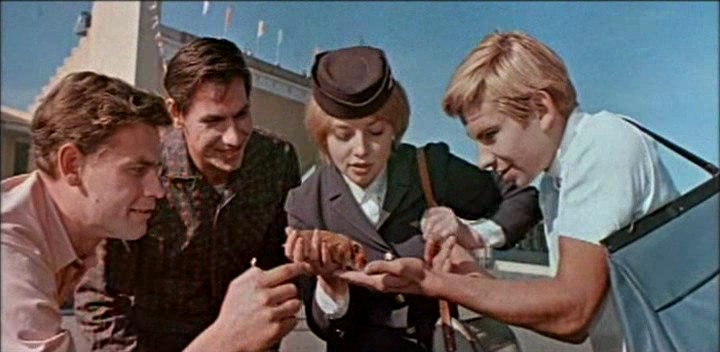 Кадр из фильма "Королевская регата" (1966)
