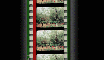 35мм позитив со стереопарой по системе «Стерео-35 кадр над кадром" из фильма "В аллеях парка" (1952)